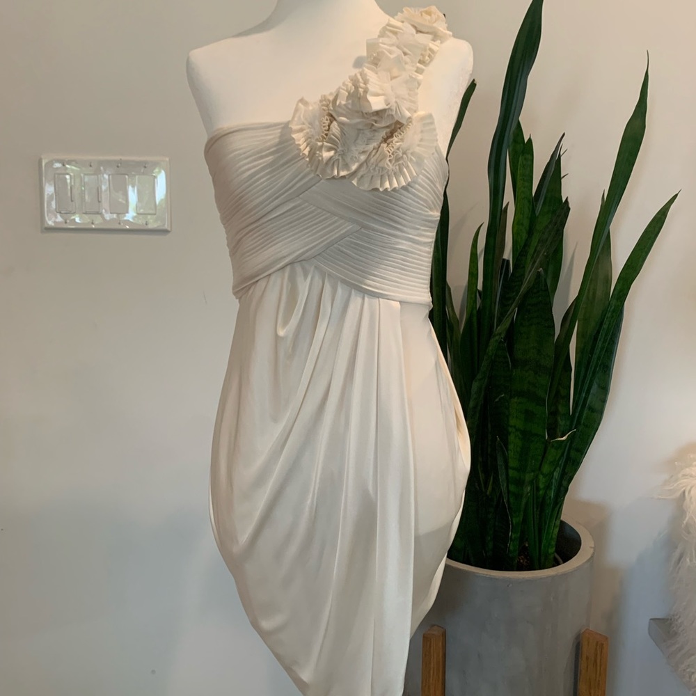 BCBG MAXAZRIA Dress